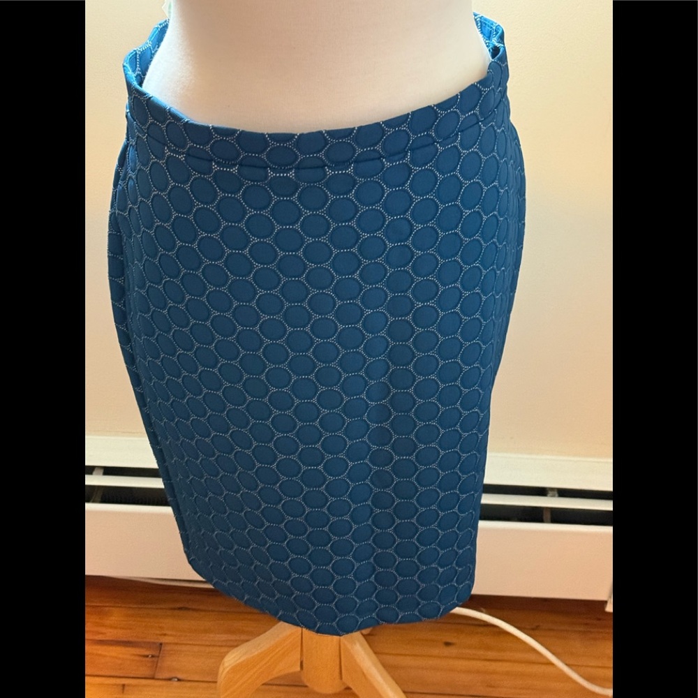 Stitch Fix Leota Tabitha Skirt Blue L